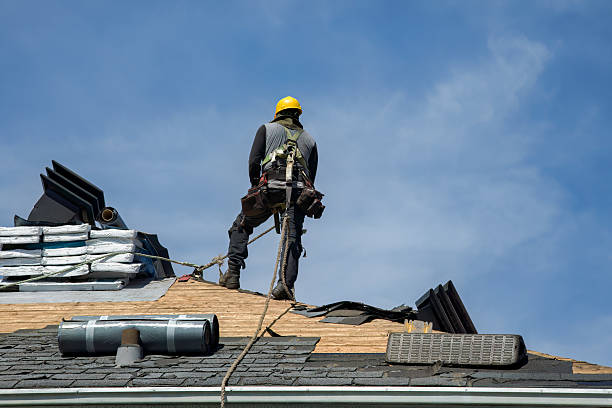 Professional Roof Repair technician working in Harlan, IN